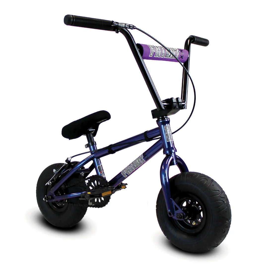 Fatboy Mini Pro BMX Bike