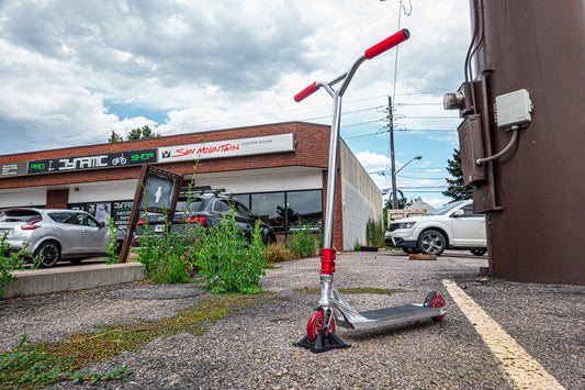 Custom Park Scooter